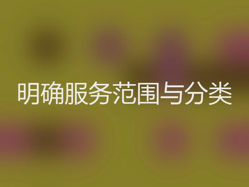 明确服务范围与分类