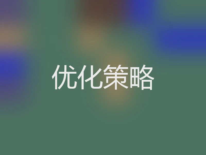 优化策略