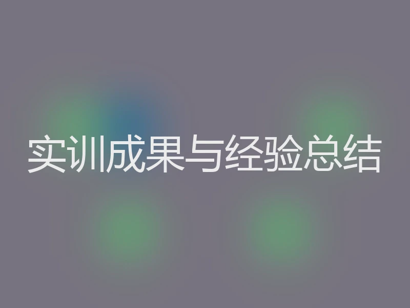 实训成果与经验总结