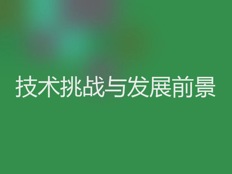 技术挑战与发展前景