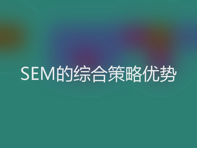 SEM的综合策略优势