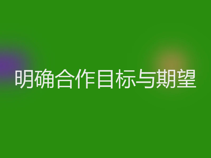 明确合作目标与期望