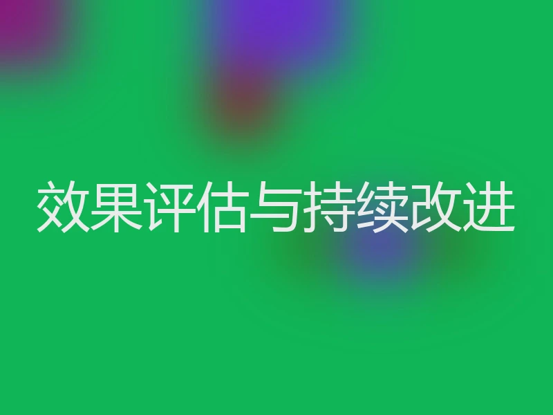 效果评估与持续改进