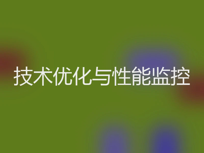 技术优化与性能监控