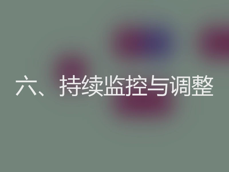六、持续监控与调整