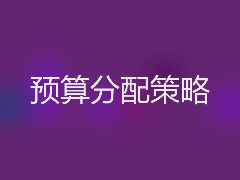 预算分配策略