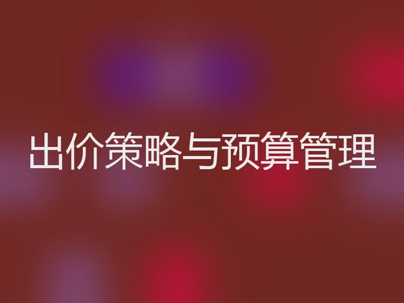 出价策略与预算管理