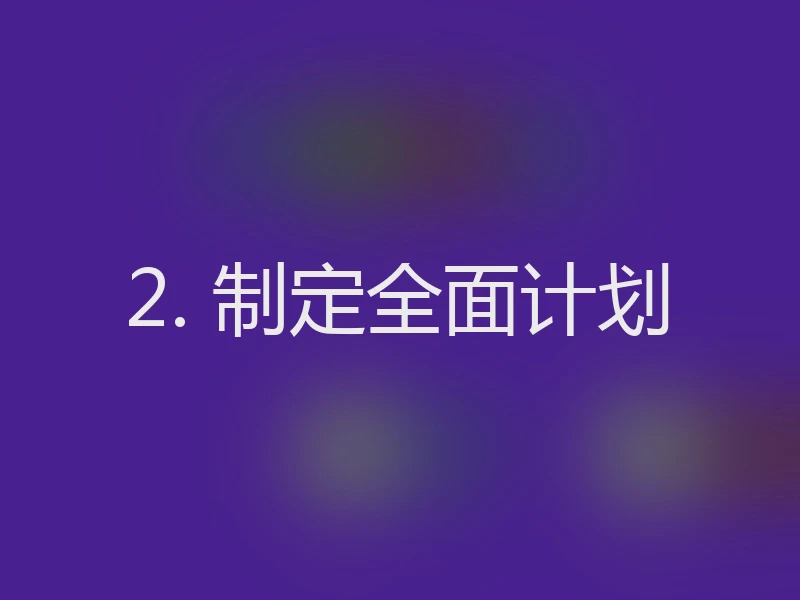2. 制定全面计划