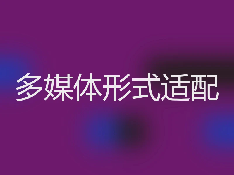 多媒体形式适配