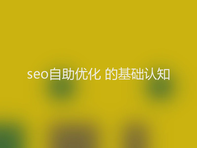seo自助优化 的基础认知