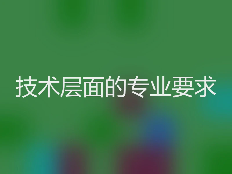 技术层面的专业要求