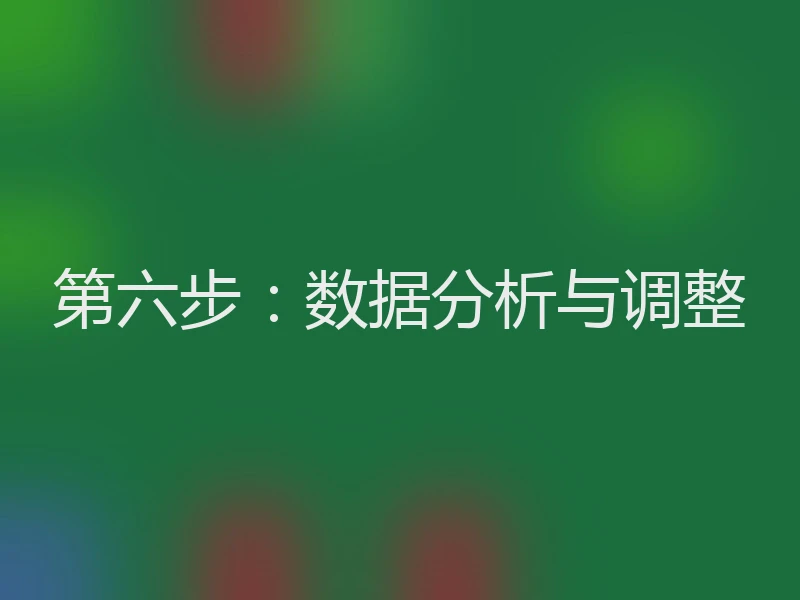 第六步：数据分析与调整