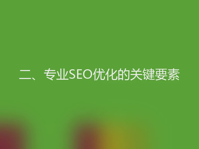 二、专业SEO优化的关键要素