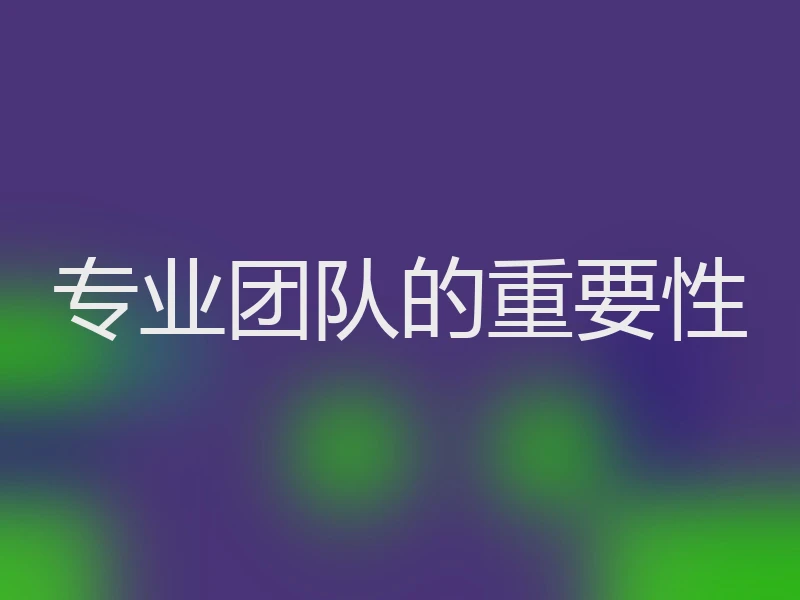 专业团队的重要性