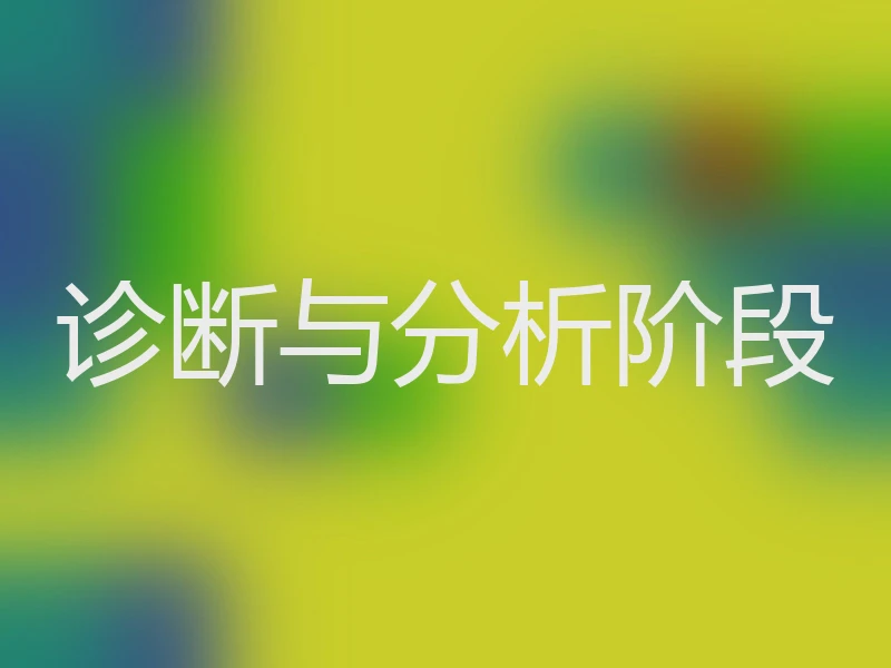 诊断与分析阶段