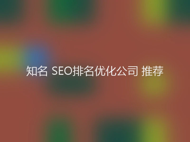 知名 SEO排名优化公司 推荐