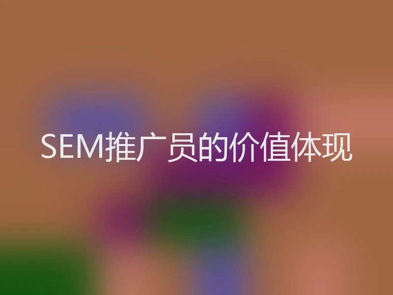 SEM推广员的价值体现
