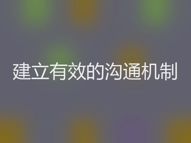 建立有效的沟通机制