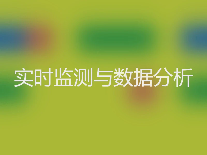 实时监测与数据分析