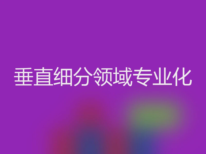 垂直细分领域专业化