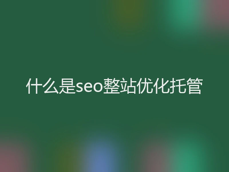 什么是seo整站优化托管