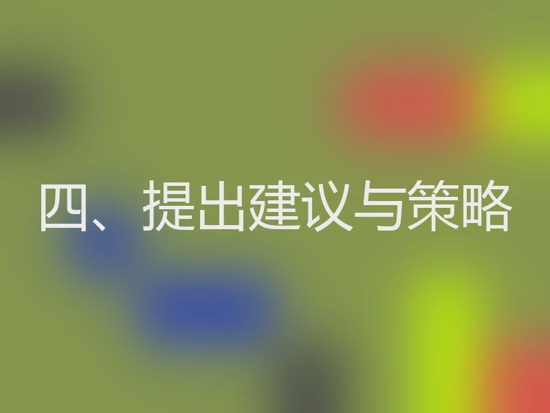 四、提出建议与策略