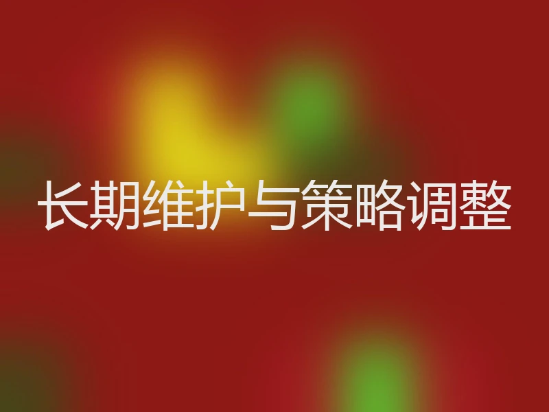 长期维护与策略调整