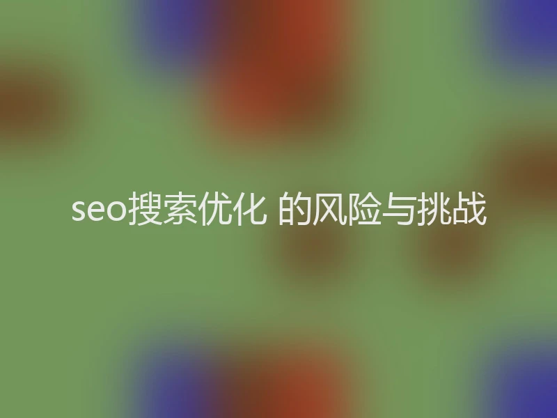 seo搜索优化 的风险与挑战