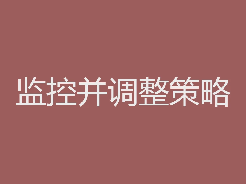 监控并调整策略