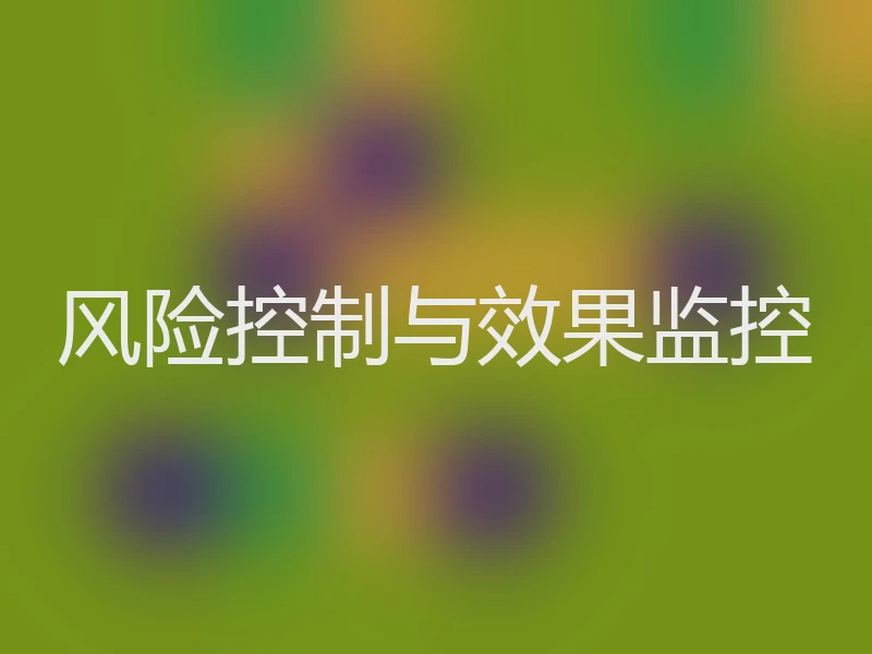 风险控制与效果监控