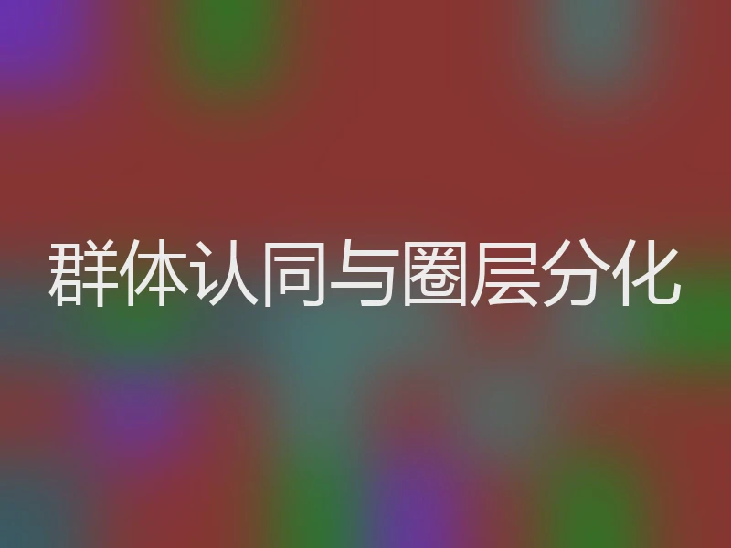 群体认同与圈层分化