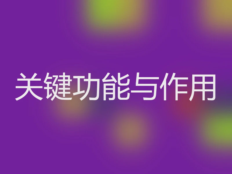关键功能与作用