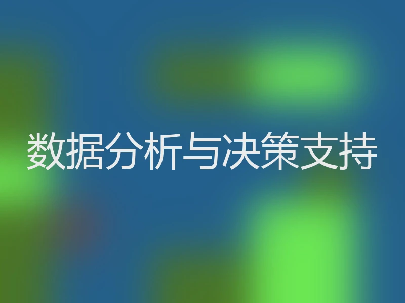 数据分析与决策支持
