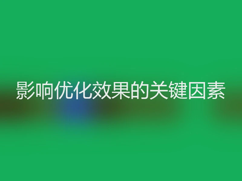 影响优化效果的关键因素