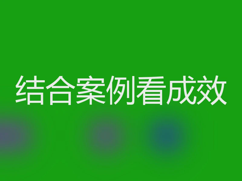 结合案例看成效