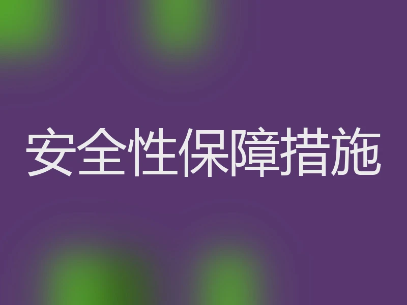 安全性保障措施