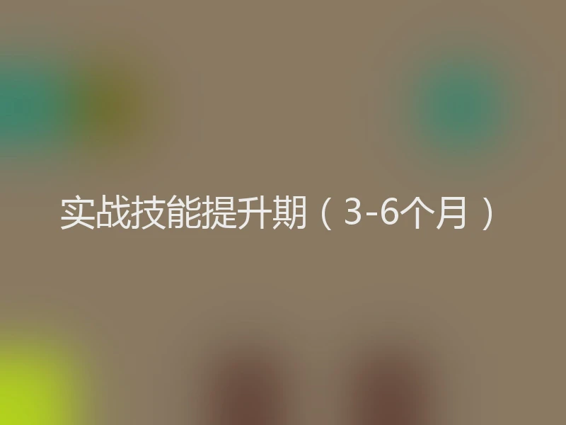 实战技能提升期（3-6个月）
