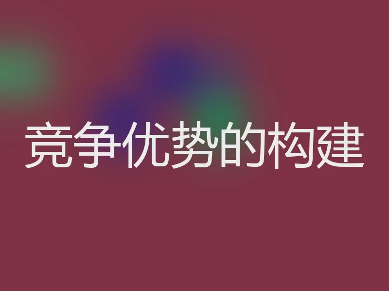 竞争优势的构建