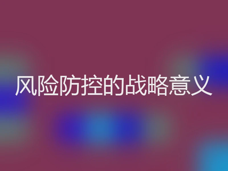 风险防控的战略意义