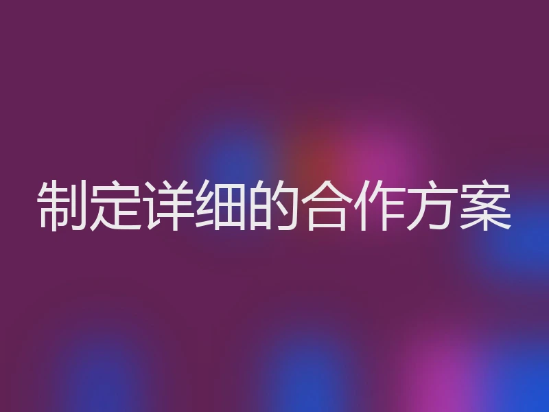 制定详细的合作方案