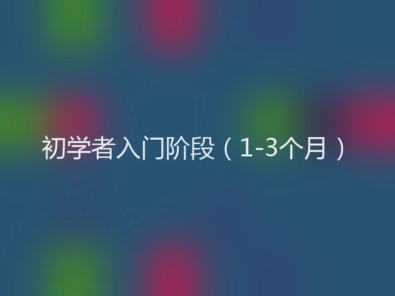 初学者入门阶段（1-3个月）