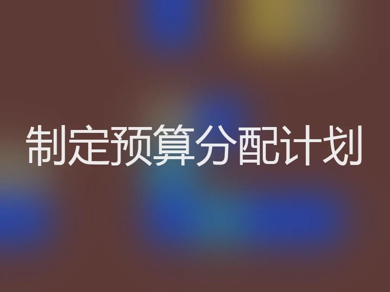 制定预算分配计划