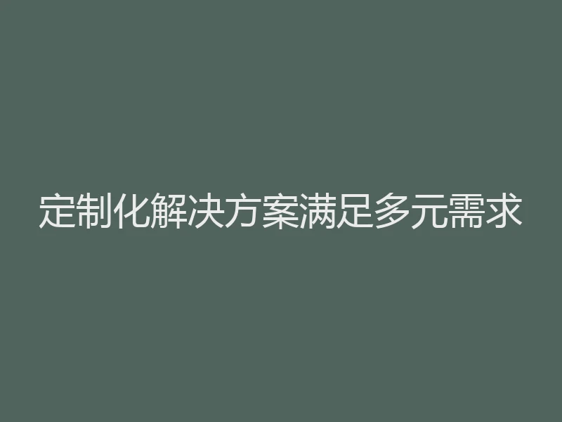 定制化解决方案满足多元需求