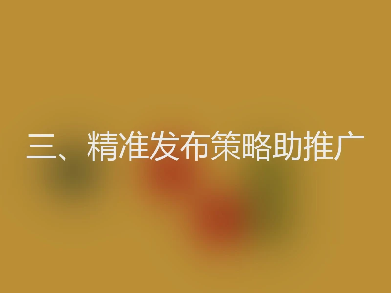 三、精准发布策略助推广