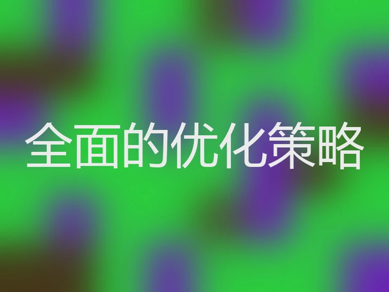 全面的优化策略