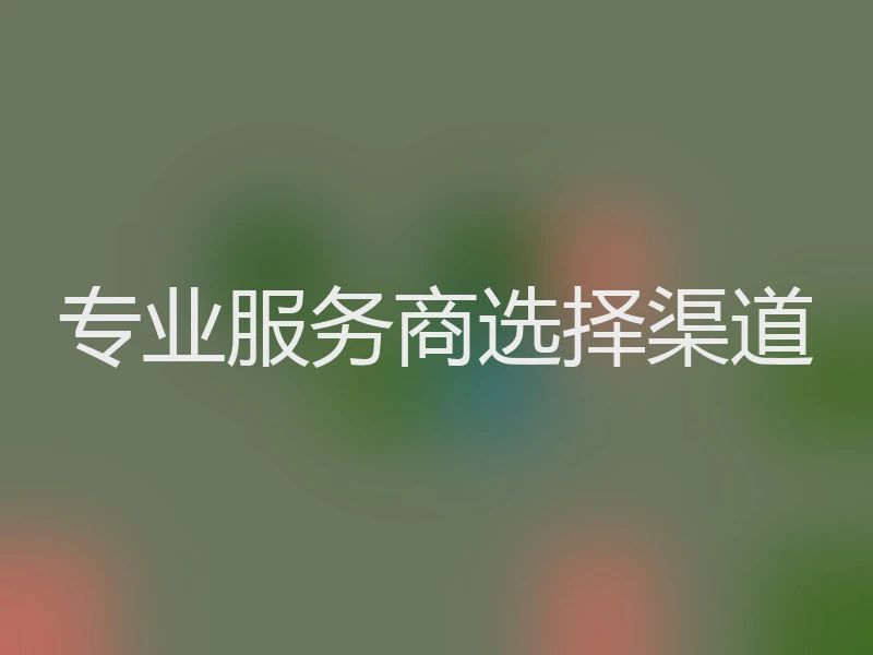 专业服务商选择渠道