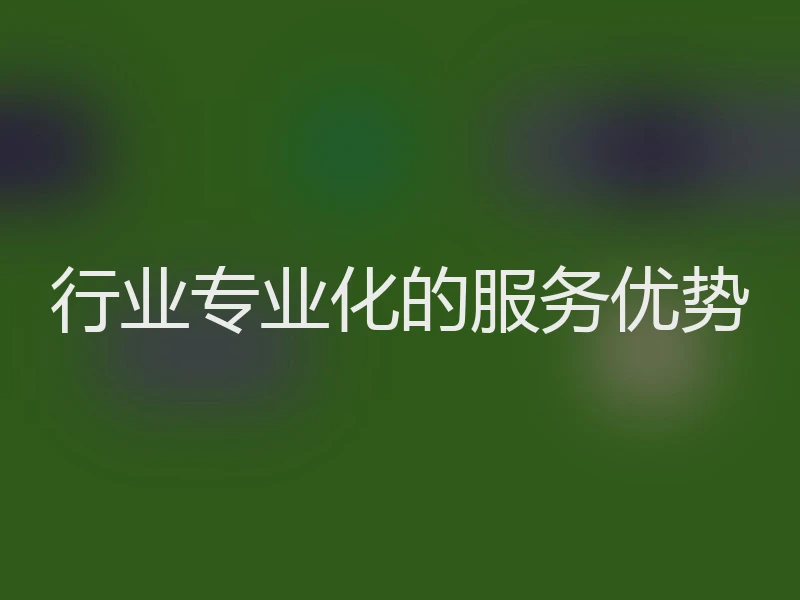 行业专业化的服务优势