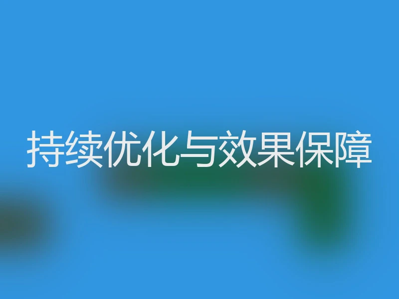 持续优化与效果保障