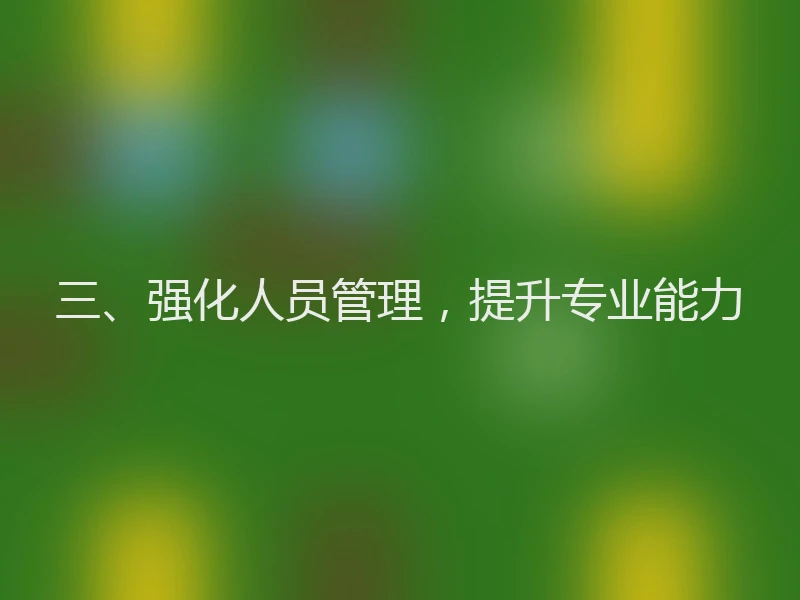 三、强化人员管理，提升专业能力