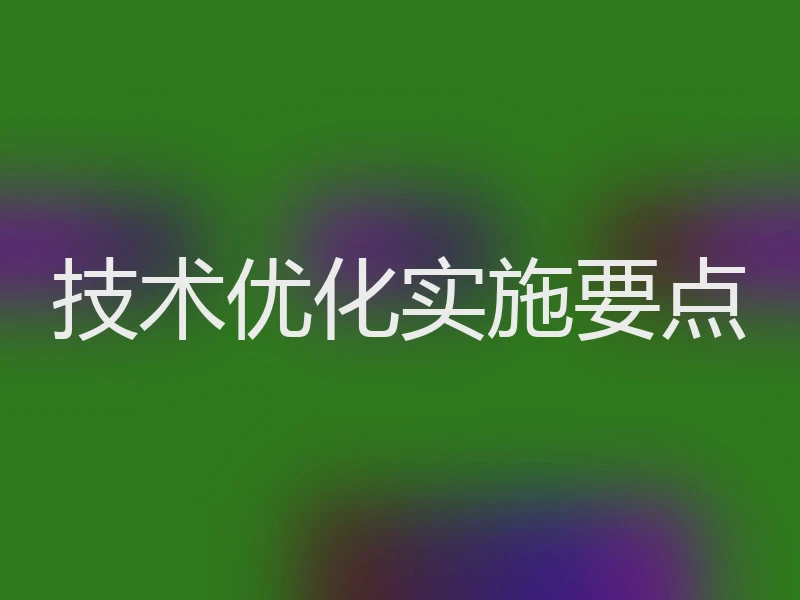 技术优化实施要点